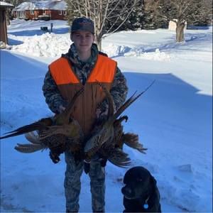 Meet your Posher, Joe